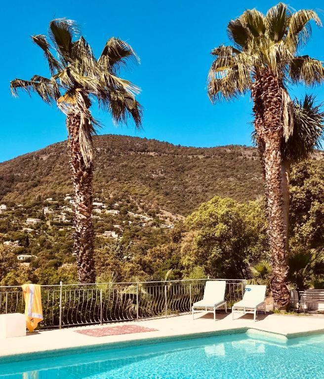 Villa Hirondelles 35 Cavalaire-sur-Mer Eksteriør billede
